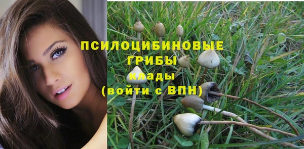 ГАЛЛЮЦИНОГЕННЫЕ ГРИБЫ Алексин