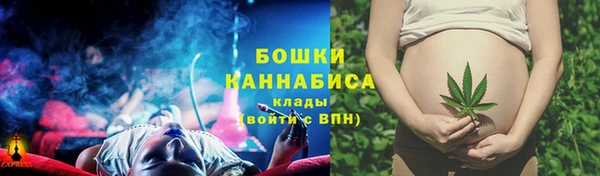 ГАЛЛЮЦИНОГЕННЫЕ ГРИБЫ Алексин