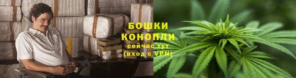 ГАЛЛЮЦИНОГЕННЫЕ ГРИБЫ Алексин